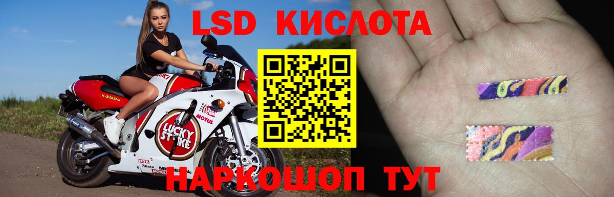 ЛСД экстази ecstasy Зима