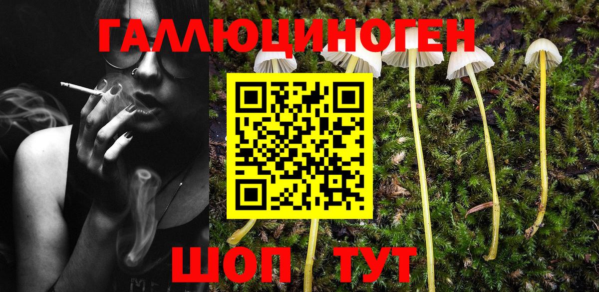 Псилоцибиновые грибы мицелий Зима